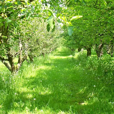 Maison d'hôtes Danninghus Vindeby (Svendborg)